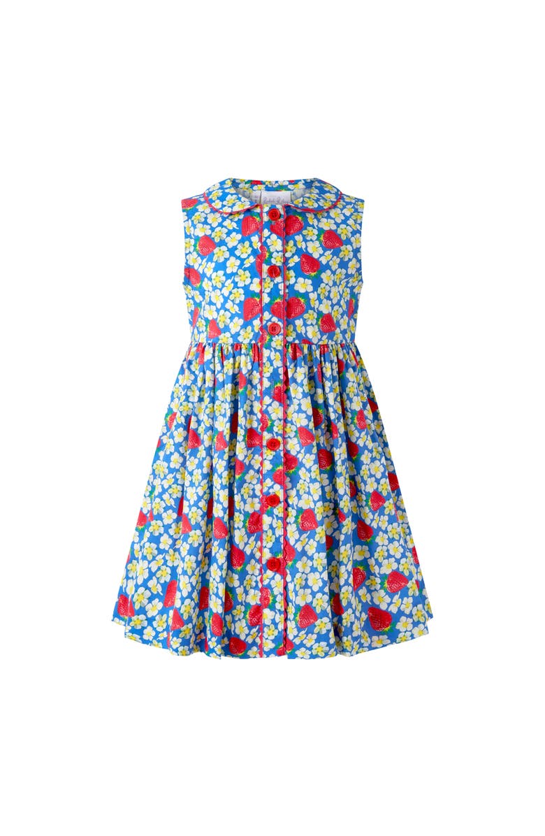 Rachel Riley Strawberry Button-Front Dress, Main, color, Blue
