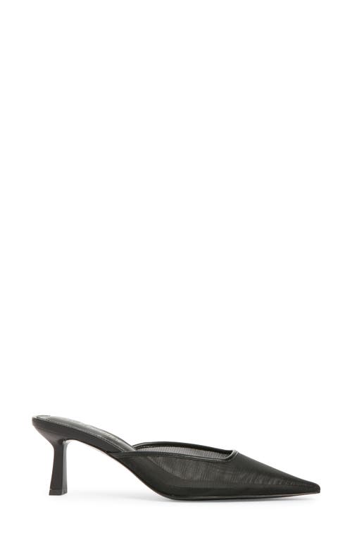 Steve Madden Lisbeth Pointed Toe Mule