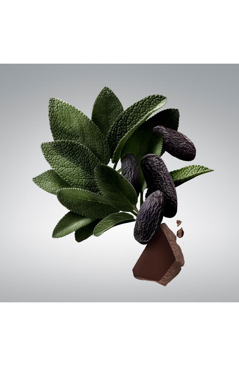 Carolina Herrera Bad Boy Eau de Toilette Set $183 Value, Alternate, color, 