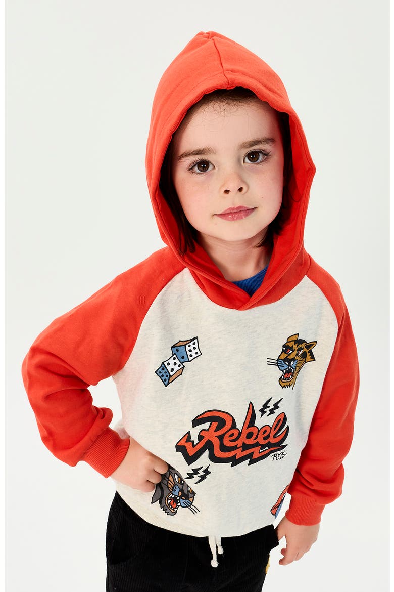 Kids' Graphic Raglan Hoodie, Alternate, color, GREY MARLE