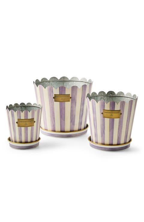 Viloet Stripe Set of 3 Pots & Saucers