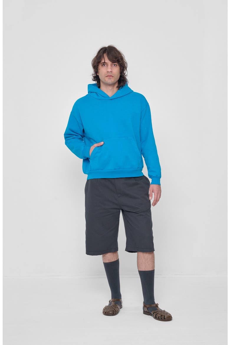 Trash Hoodie, Alternate, color, Malibu