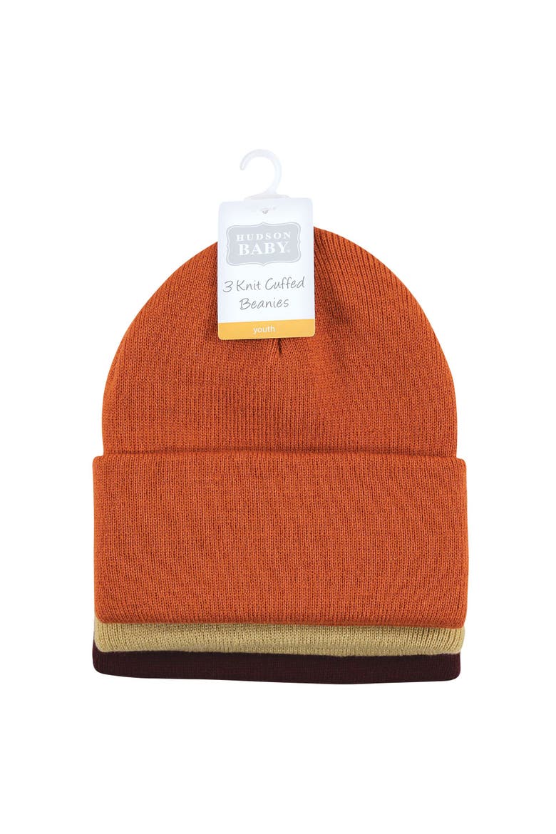 Cuffed Beanies and Knit Caps, Alternate, color, Rust
