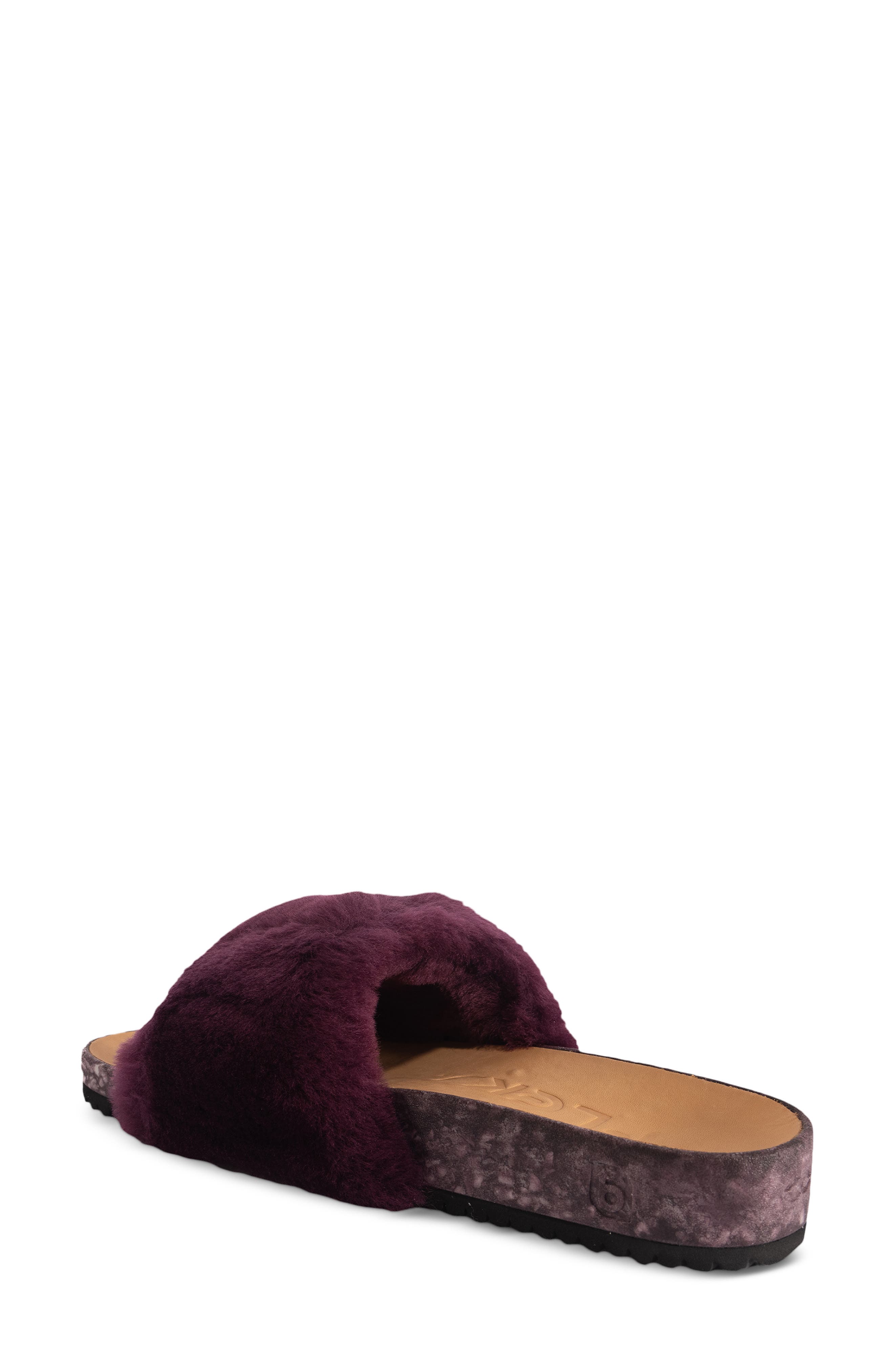 San Ysidro Genuine Shearling Slide Sandal, Alternate, color, FIG