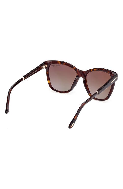 Tom Ford Lucia 54mm Polarized Square Sunglasses In Classic Dark Havana/t Logo