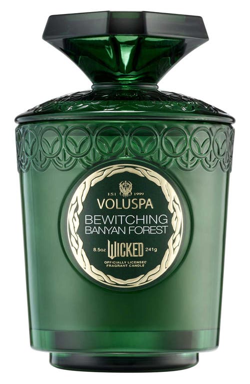 Voluspa Bewitching Banyan Forest Boxed Candle in Elphaba 