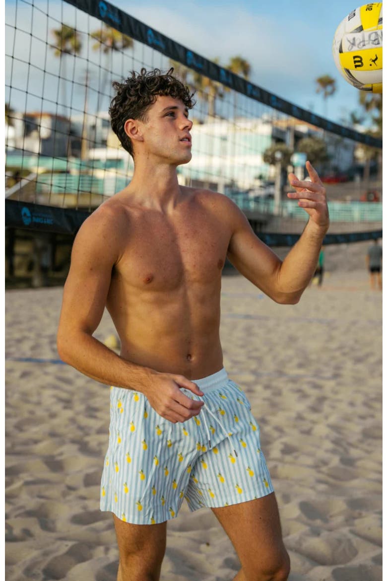 Jesse Swim Shorts, Alternate, color, Blue Lemon