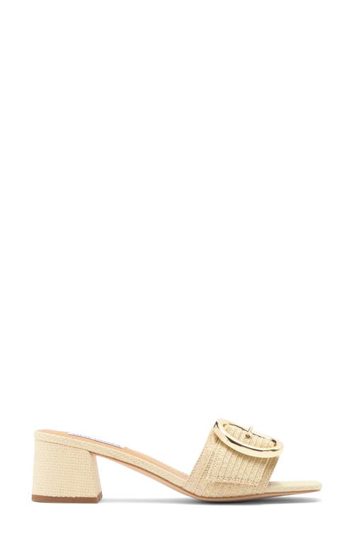 Steve Madden Seacrest Sandal In Nat Raffia