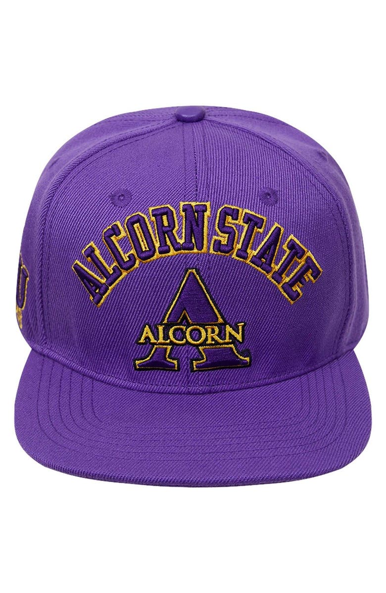 PRO STANDARD Men's Pro Standard  Purple Alcorn State Braves Evergreen Arch Over Logo Snapback Hat, Alternate, color, Purple
