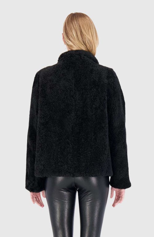 Gorski Cashmere Goat Shearling Jacket In Black