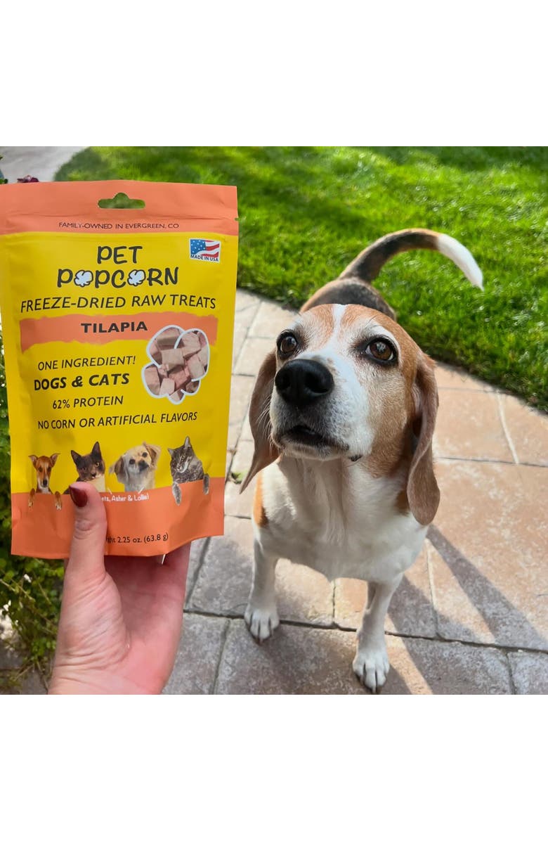Pet Popcorn Freeze Dried Raw Treats, Tilapia, 2.5oz Bag, Dog & Cat Snacks, Alternate, color, 