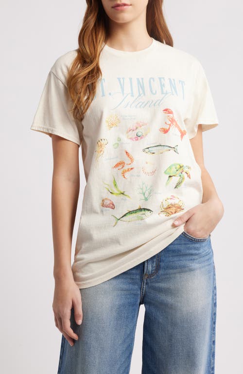 VINYL ICONS VINYL ICONS ST. VINCENT ISLAND COTTON GRAPHIC T-SHIRT