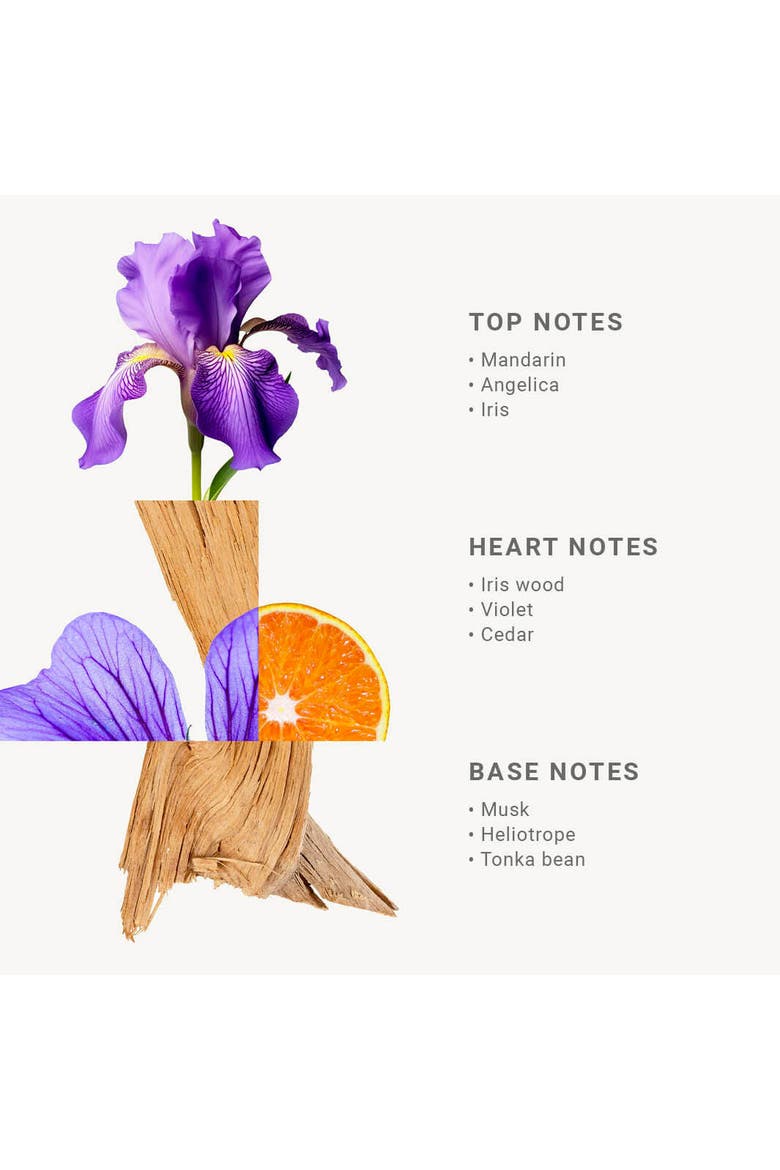 Iris Liquid Marseille Soap, Alternate, color, Purple