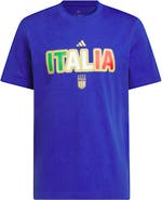 adidas Men's adidas Blue Italy National Team Jersey Hook T-Shirt