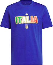 adidas Men's adidas Blue Italy National Team Jersey Hook T-Shirt