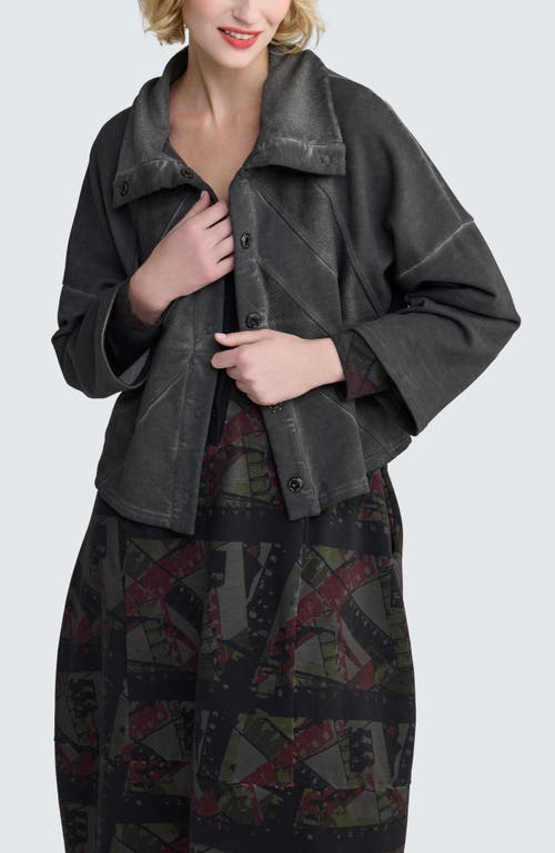 Luukaa Vera Cropped Sculptural Jacket In Gray