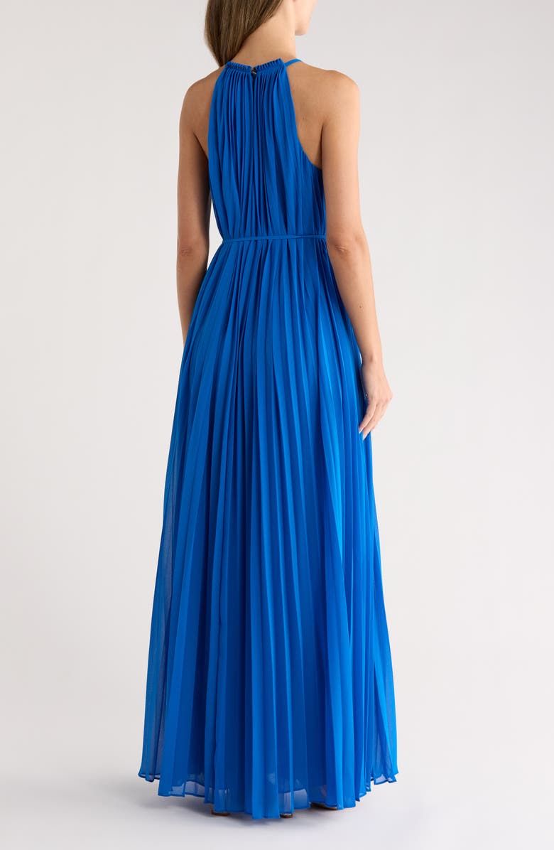 Ted Baker London Helyos Pleated Maxi Halter Dress, Alternate, color, 