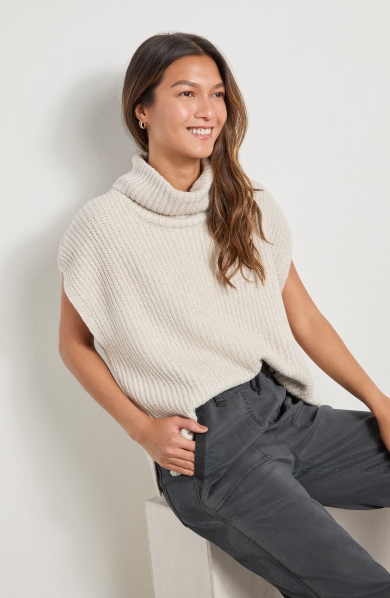 Rosalie Turtleneck Short Sleeve Sweater