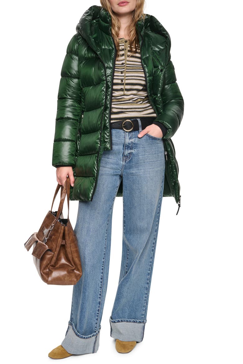 Water Resistant Hooded Puffer Coat with Bib, Alternate, color, HUNTER