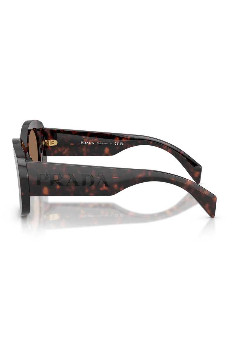 54mm Oval Sunglasses, Alternate, color, DARK HAVANA/ DARK BROWN