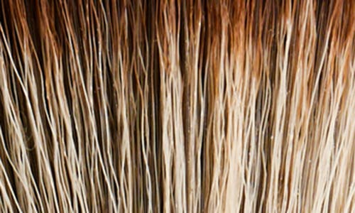 Victoria Beckham Buffer Brush In No Color