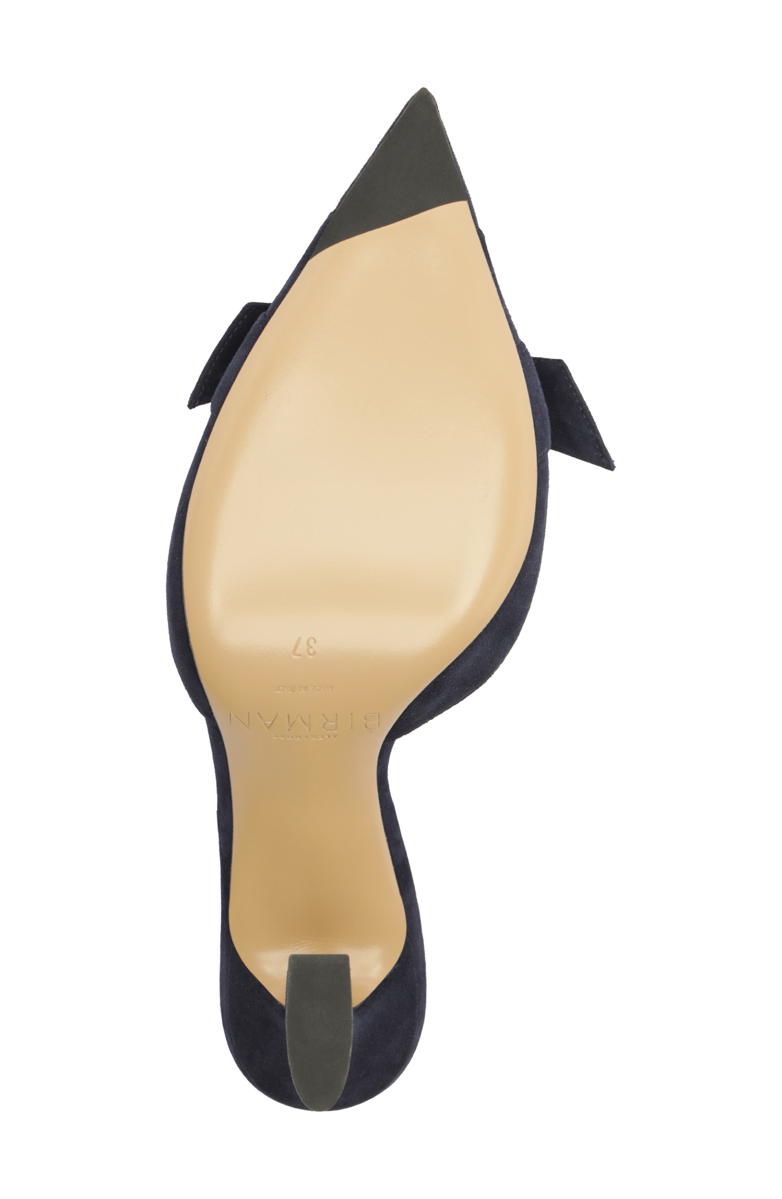 Clarita Pointed Toe Slingback Pump, Alternate, color, NAVY