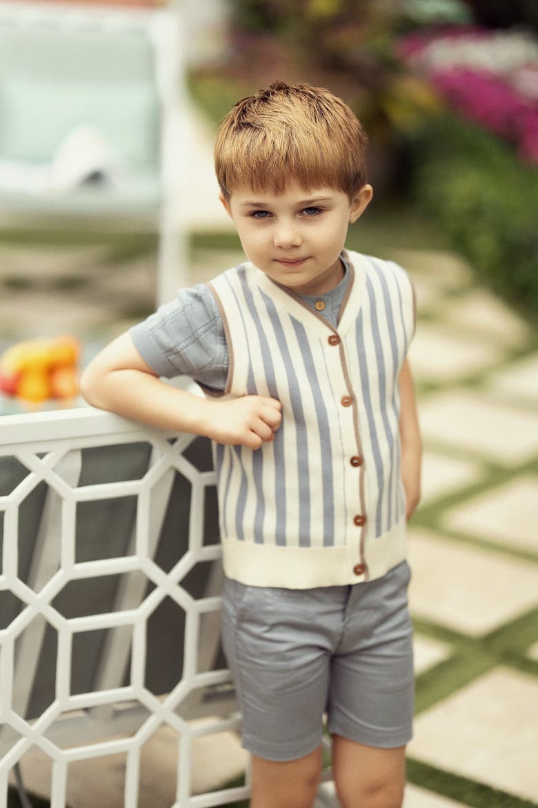 Striped Knit Vest - Sleeveless Button-Front, Alternate, color, Dusty Blue/Ivory