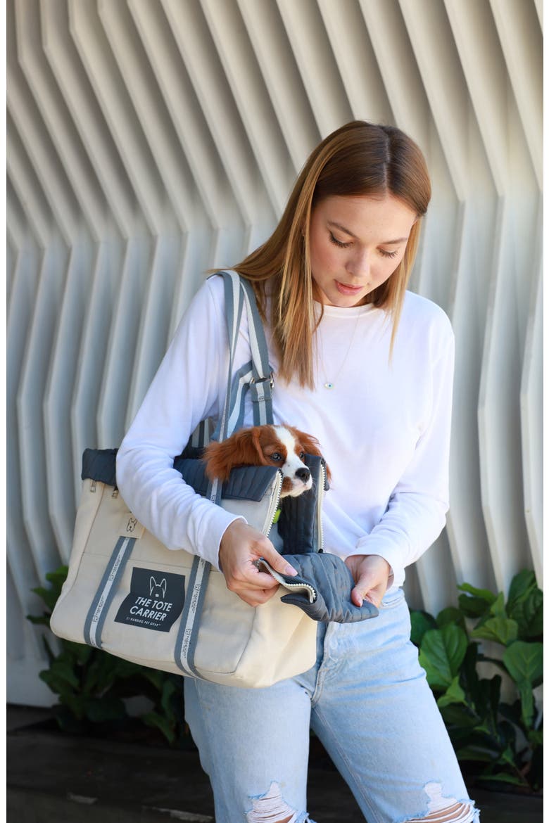 Tote Pet Carrier for Dogs & Cats, Alternate, color, Beige