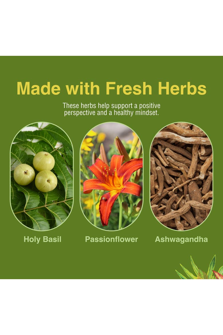 Stress ReLeaf Herbal Relaxation Supplement, 60 Softgels, Alternate, color, No Color