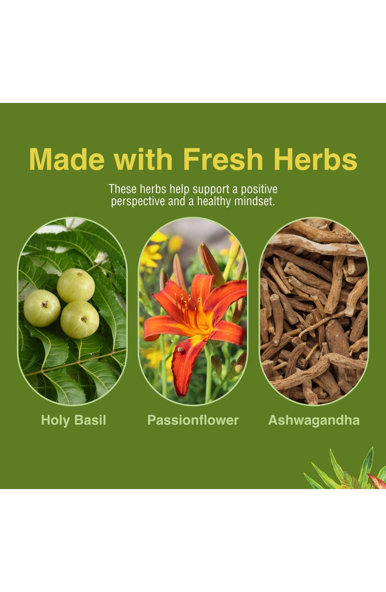 Herbs Etc. Stress ReLeaf Herbal Relaxation Supplement, 60 Softgels, Alternate, color, NO COLOR