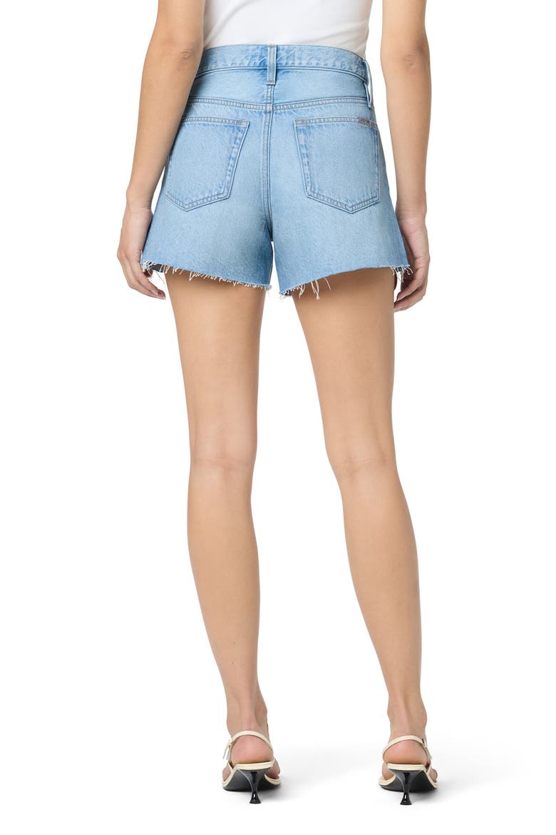 High Waist Relaxed Denim Cutoff Shorts, Alternate, color, RIGA