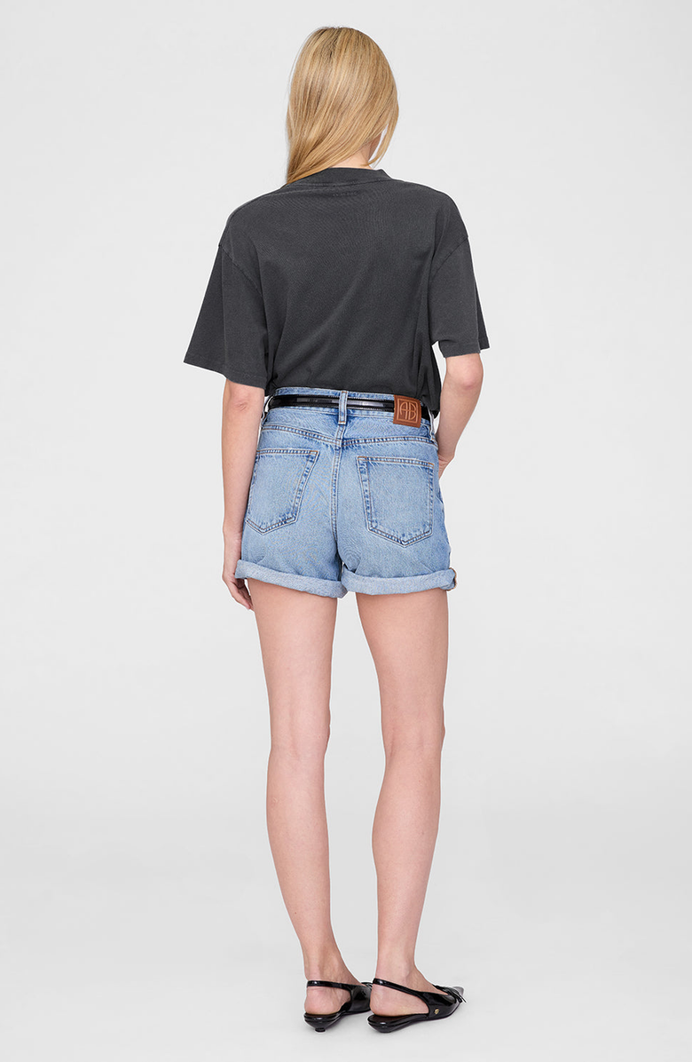 ANINE BING Ashton Tee Concert T-Shirt, Alternate, color, 