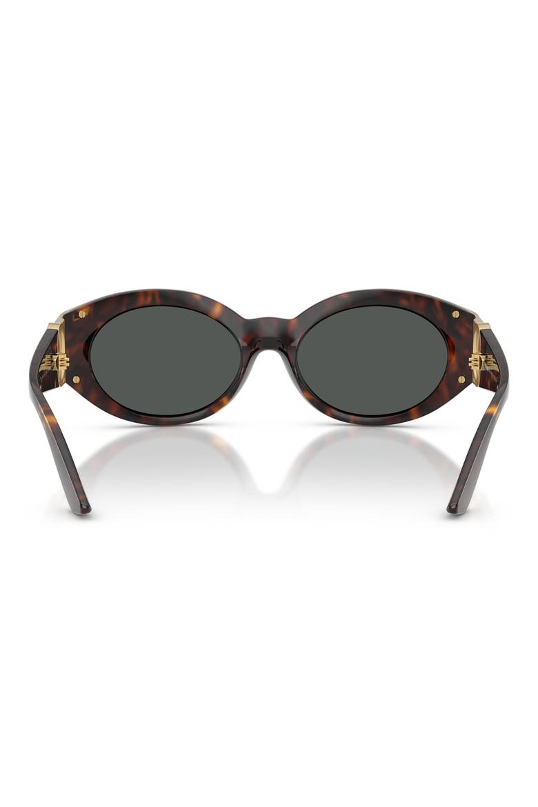 55mm Oval Sunglasses, Alternate, color, HAVANA / DARK GREY