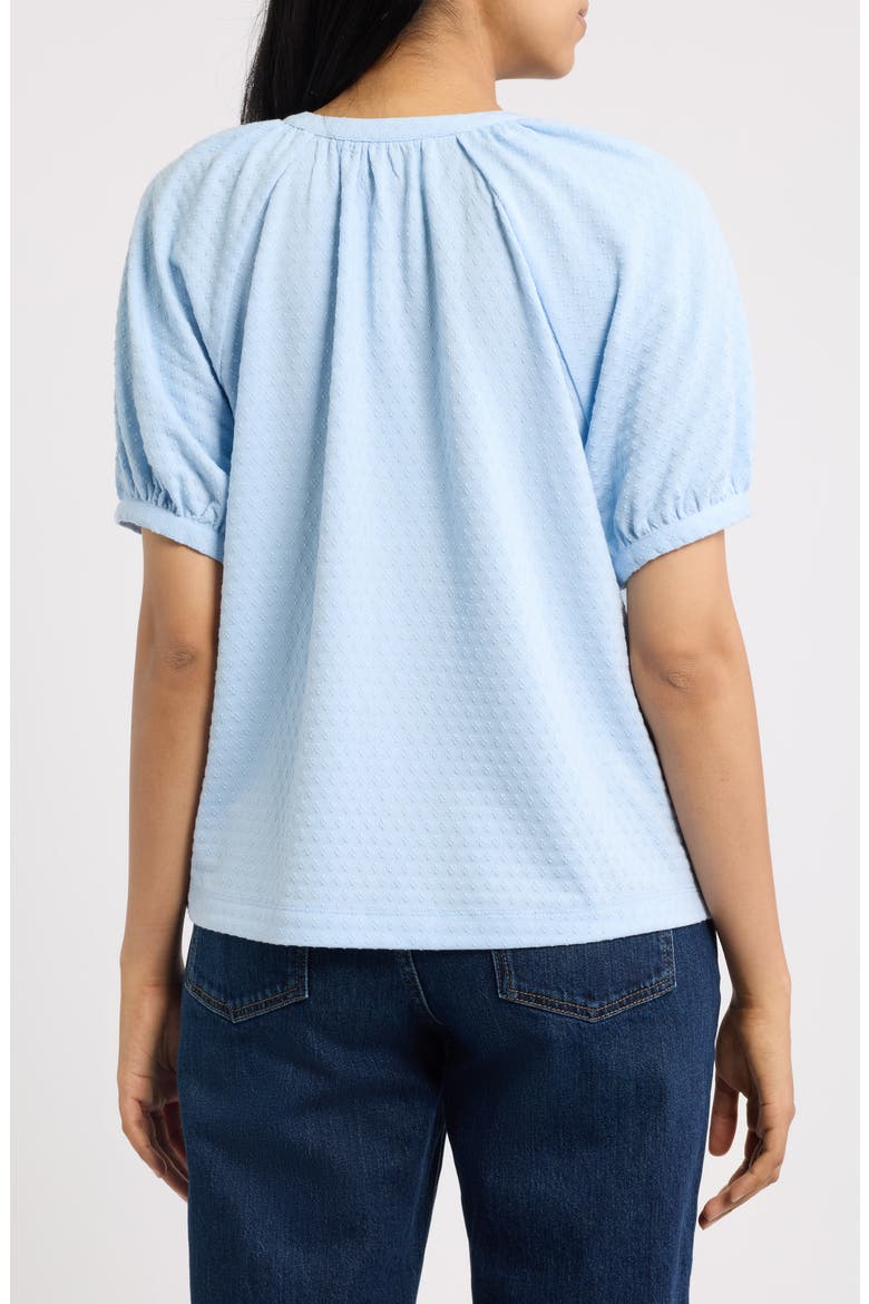Puff Sleeve Top, Alternate, color, LIGHT BLUE