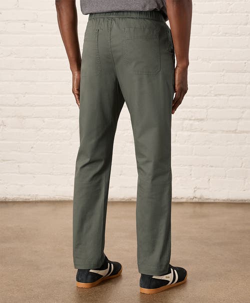 Pact Organic Cotton Daily Twill Midweight Pant In Castor Grey