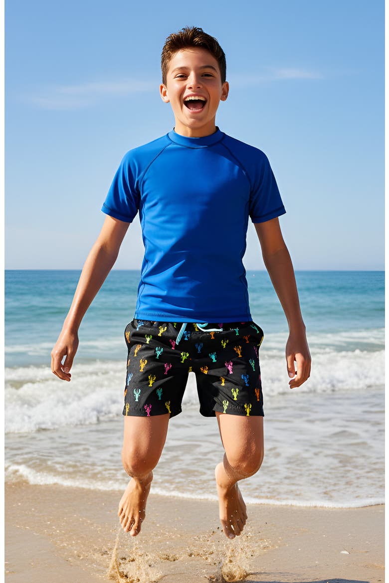 Boys Multicolor Lobsters Print Board Shorts, Alternate, color, Multicolor
