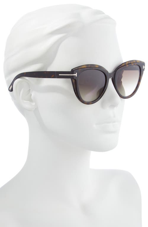 Tom Ford Tori 53mm Cat Eye Sunglasses In Brown