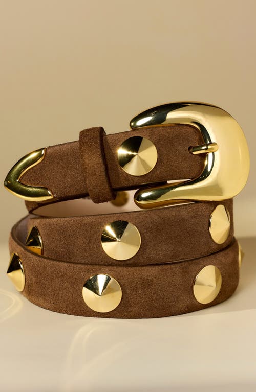 Aureum Studded Belt In Chocolate And Gold