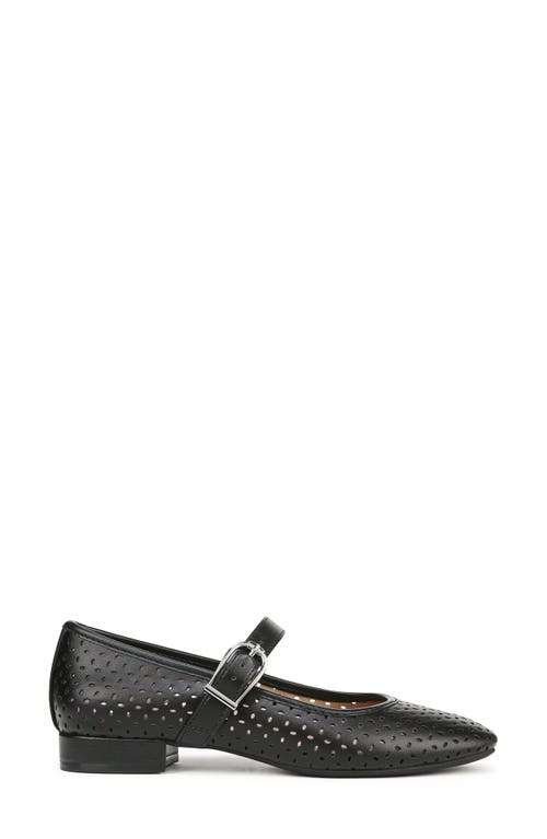 LIFESTRIDE LIFESTRIDE CAMEOM PERFORATED BALLET FLAT