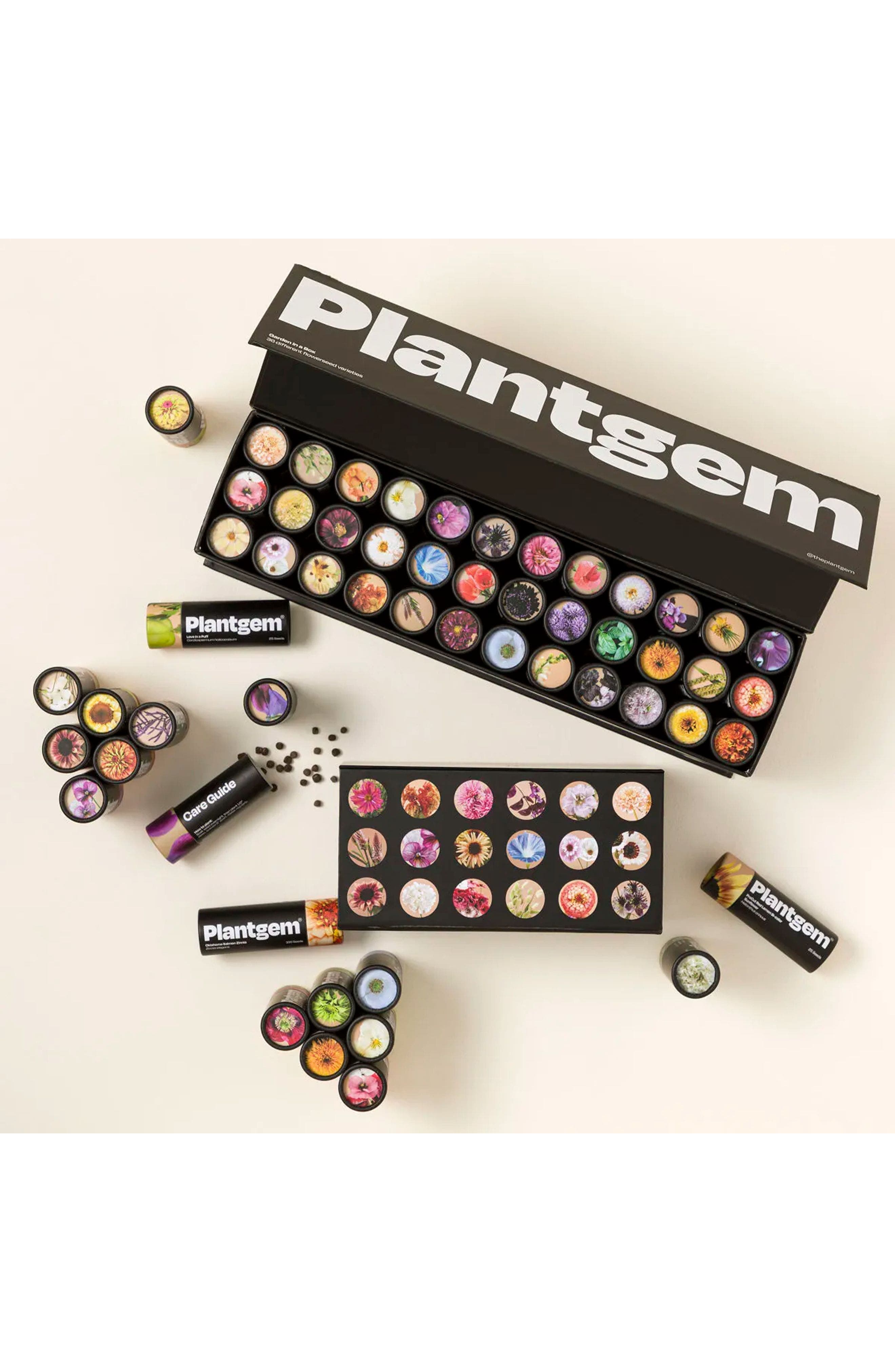 Flower Garden in a Box by Plantgem in Set Of 36 