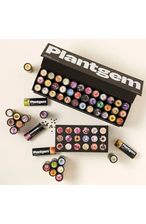 Flower Garden in a Box by Plantgem