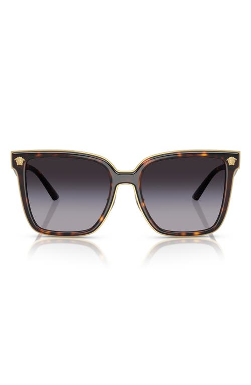 Versace 58mm Butterfly Sunglasses In Havana