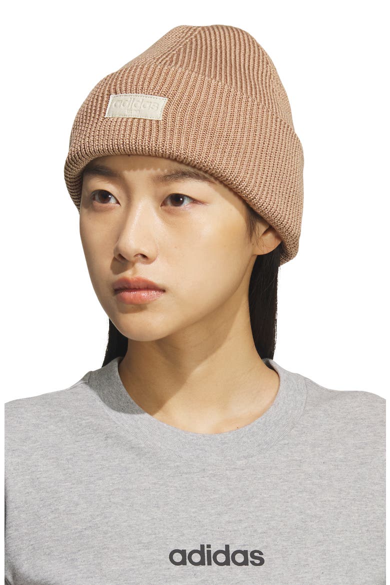 Premium Cuff Beanie, Alternate, color, WARM SANDSTONE BEIGE/ WHITE