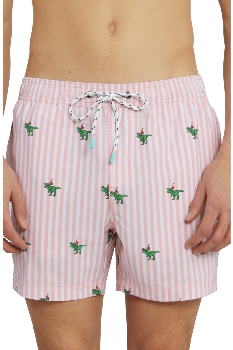 T-Flex Swim Shorts, Main, color, PINK