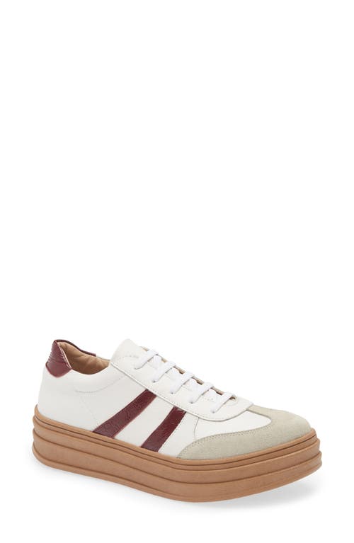 Chocolat Blu Valox Sneaker In Multi