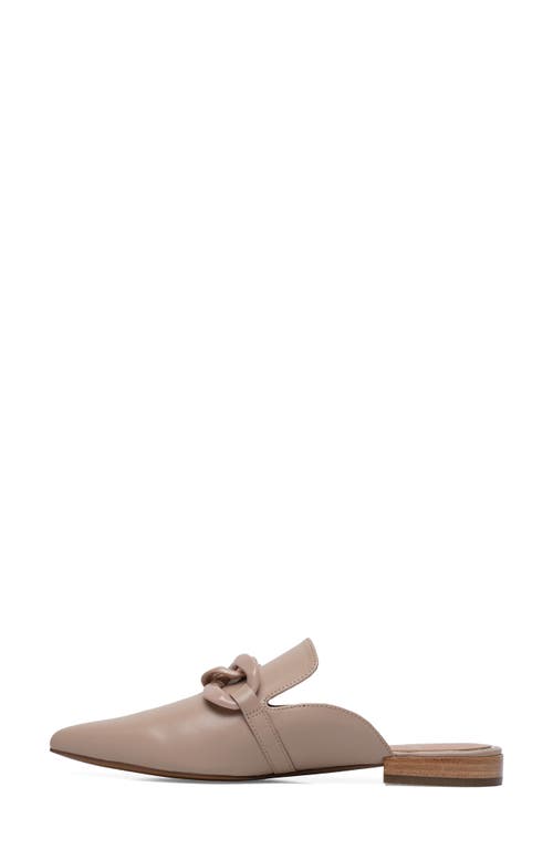 Linea Paolo Adora Pointed Toe Mule In Brown