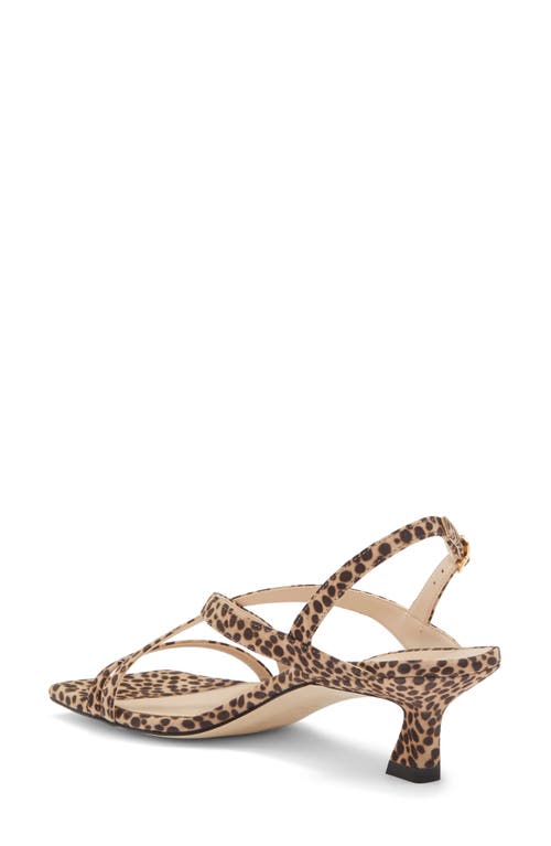 Stuart Weitzman Oasis 50 Slingback Kitten Heel Sandal In Classic