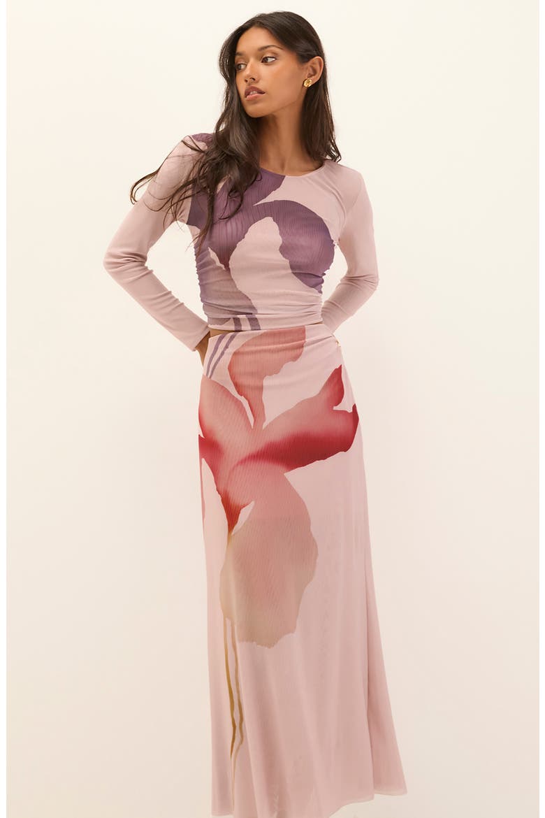 Amira Floral Print Mesh Maxi Skirt, Alternate, color, PINK MULTI