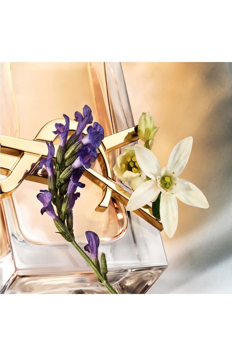 Yves Saint Laurent Libre Holiday Set, Alternate, color, 