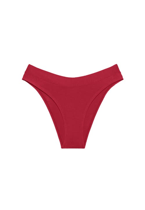 Cuup The Bikini In Animal Print